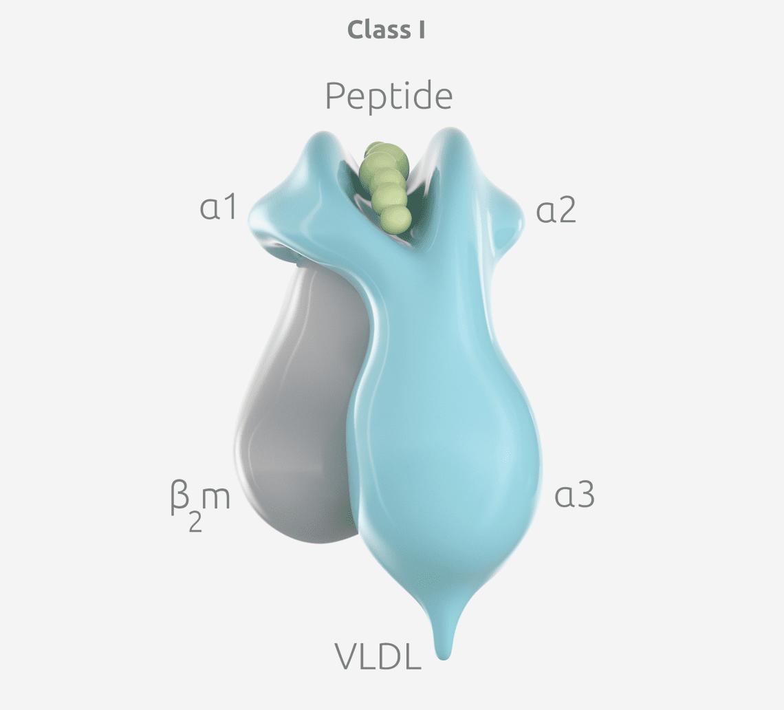 Soluble Hla Class I Proteins Pure Protein Llc 0471